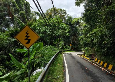 Dschungelstraße zum Penang Hill