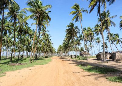 Backpacking Westafrika Elfenbeinküste Ghana Togo Benin Route Tipps: Traumhafte Szenerie auf der Route des Peches von Ouidah nach Cotonou