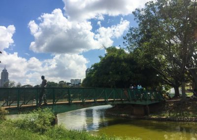 Der Uhuru Park ist eine grüne Oase