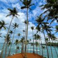 Sri Lanka Sehenswürdigkeiten Highlights für einem Tag Reisetipps Hotel Empfehlung: Coconut Tree Hill Mirissa