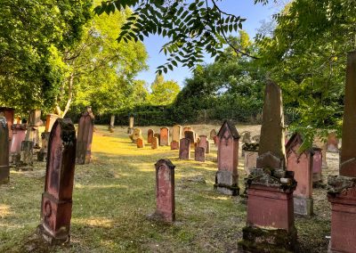 Alter Judenfriedhof in Mainz - Judensand