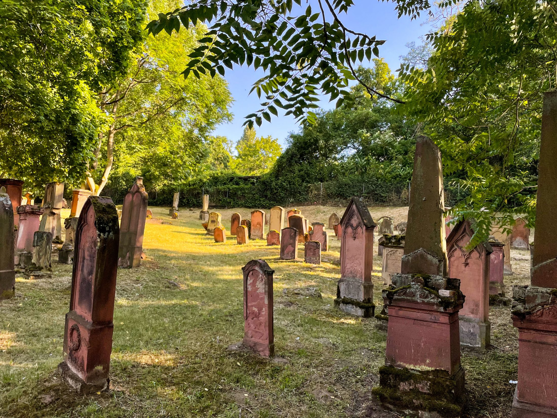 Ein Tag in Mainz Tipps + Route für den Tagesausflug JOURNICATION
