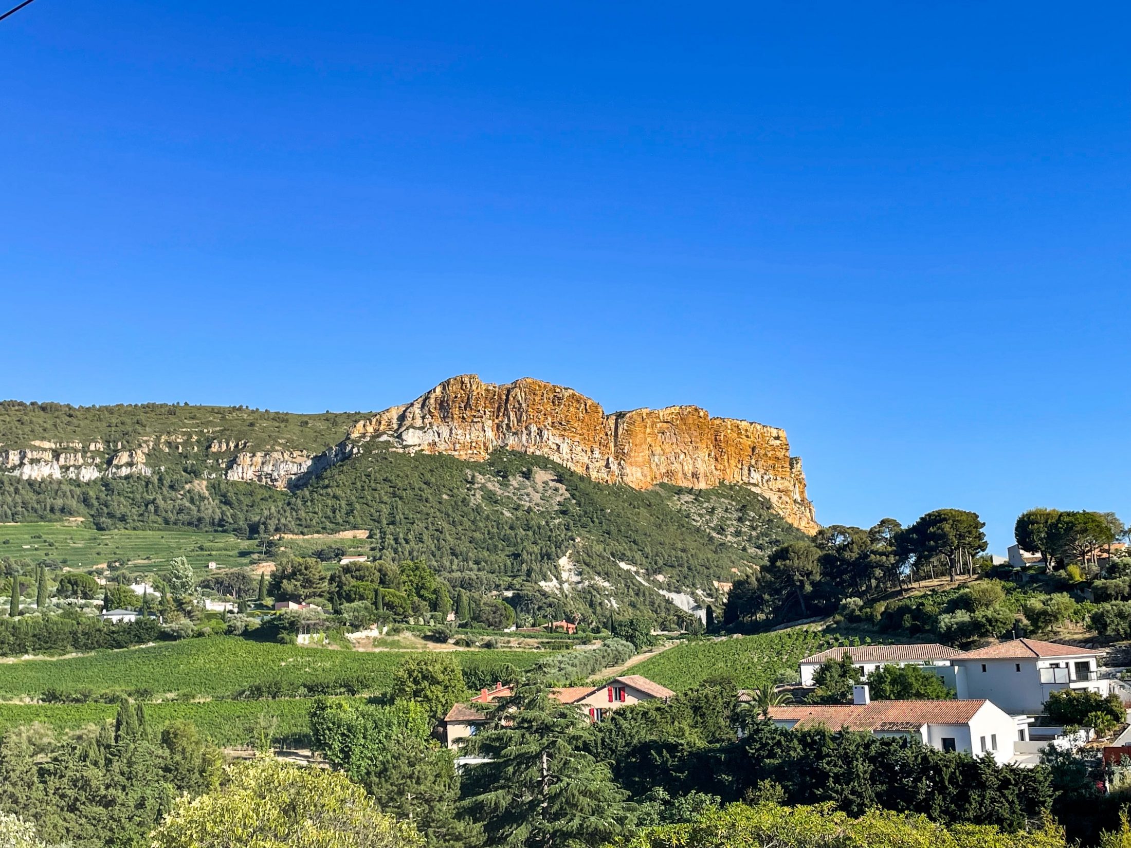 Things to do French Riviera highlights road trip travel tips: View of Cassis and the vineyards