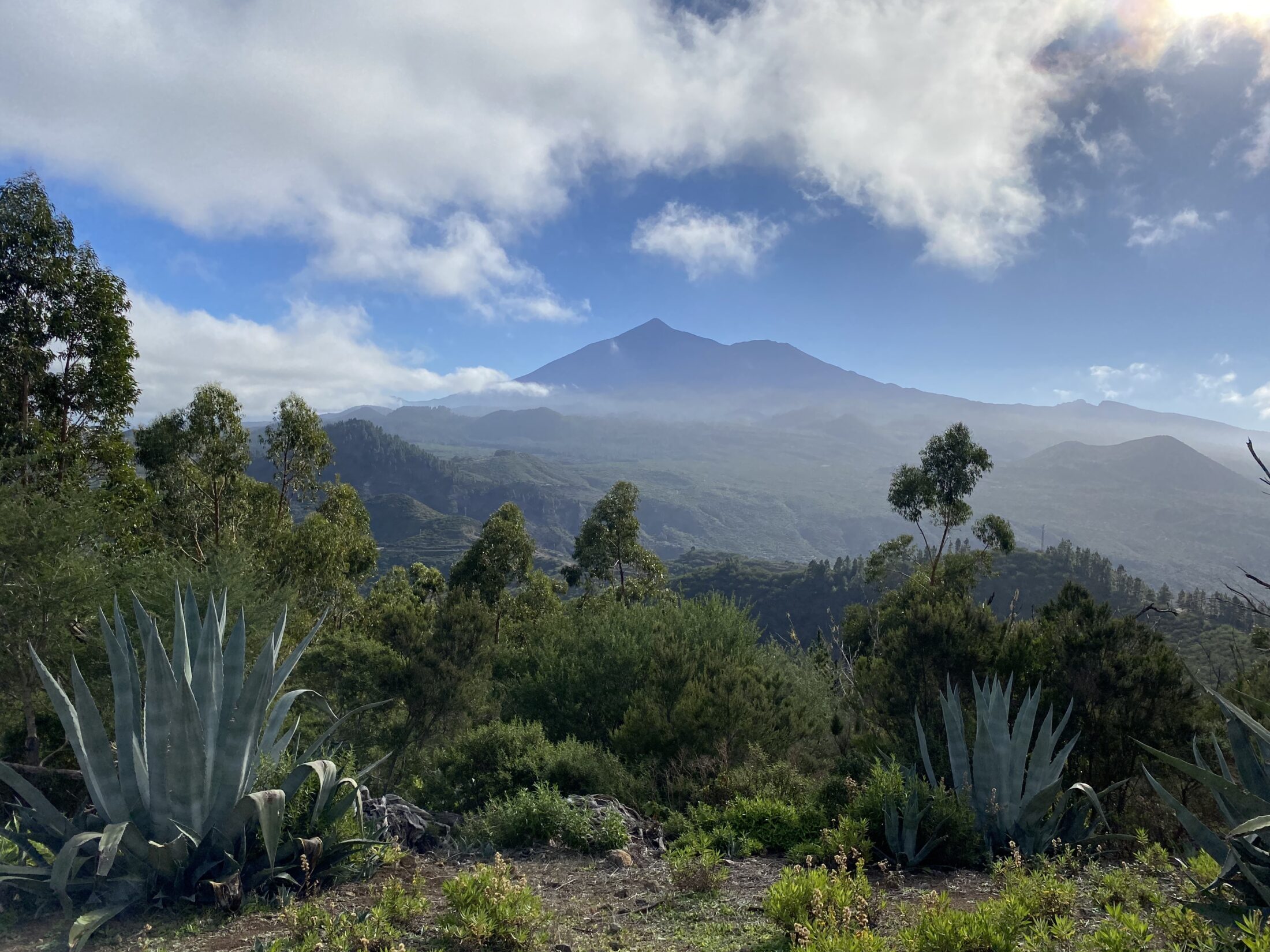 Meine 10 besten Teneriffa Sehenswürdigkeiten + Geheimtipps