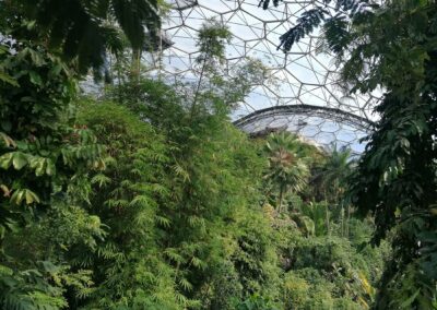 Das Eden Project Tropen Bereich