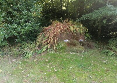 The Lost Gardens of Heligan