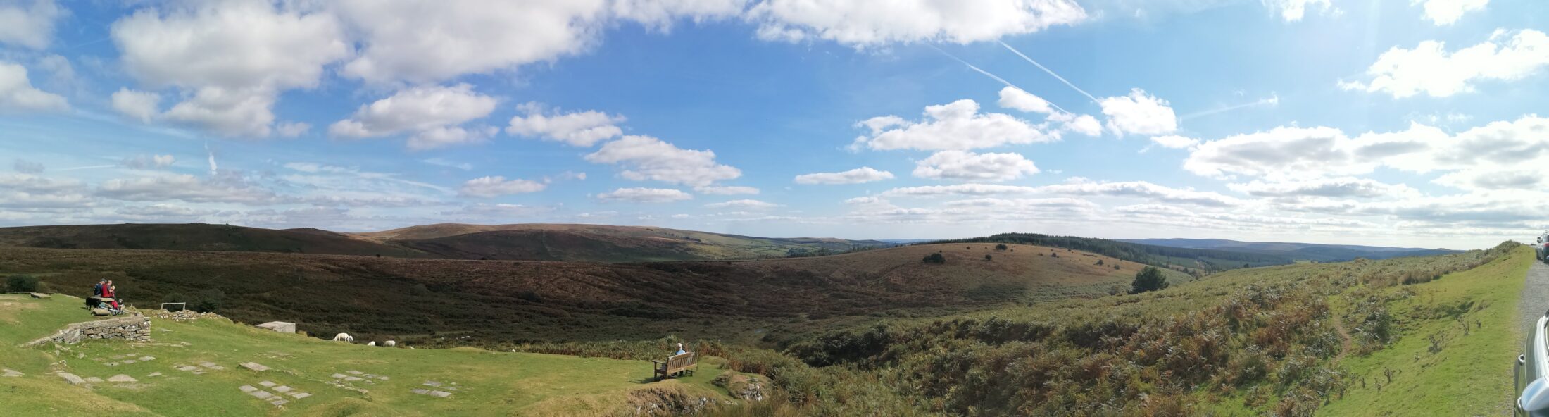 Cornwall Rundreise Sehenswürdigkeiten: Panorama der grünen Wiesen von Dartmoor