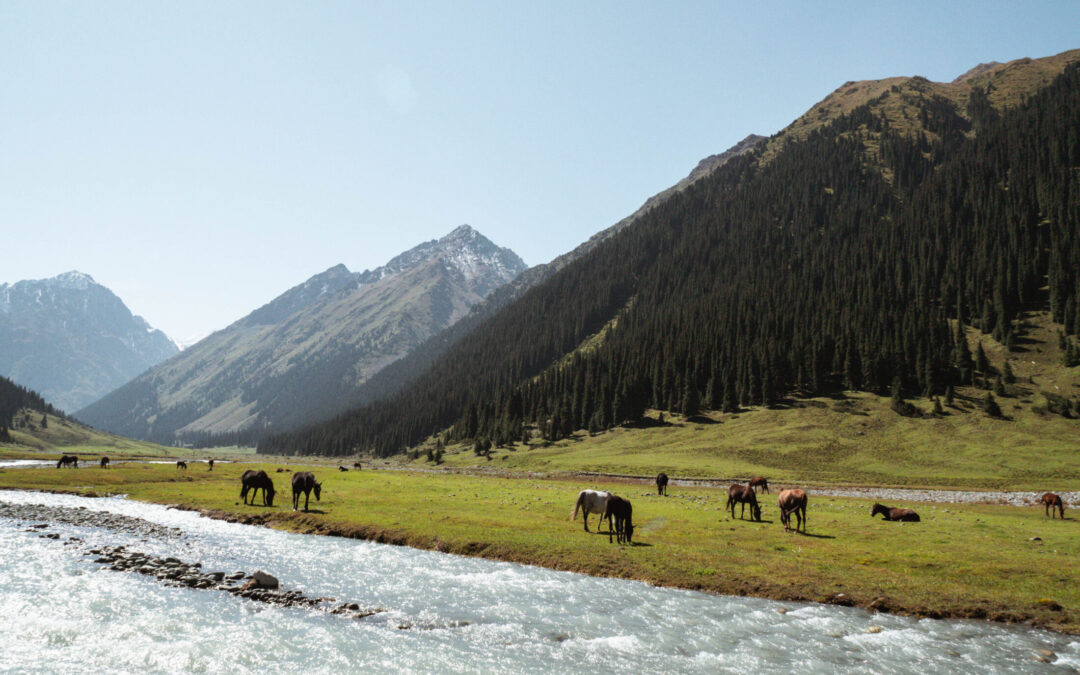 Karakol Sehenswürdigkeiten und Aktivitäten: Die besten Reisetipps