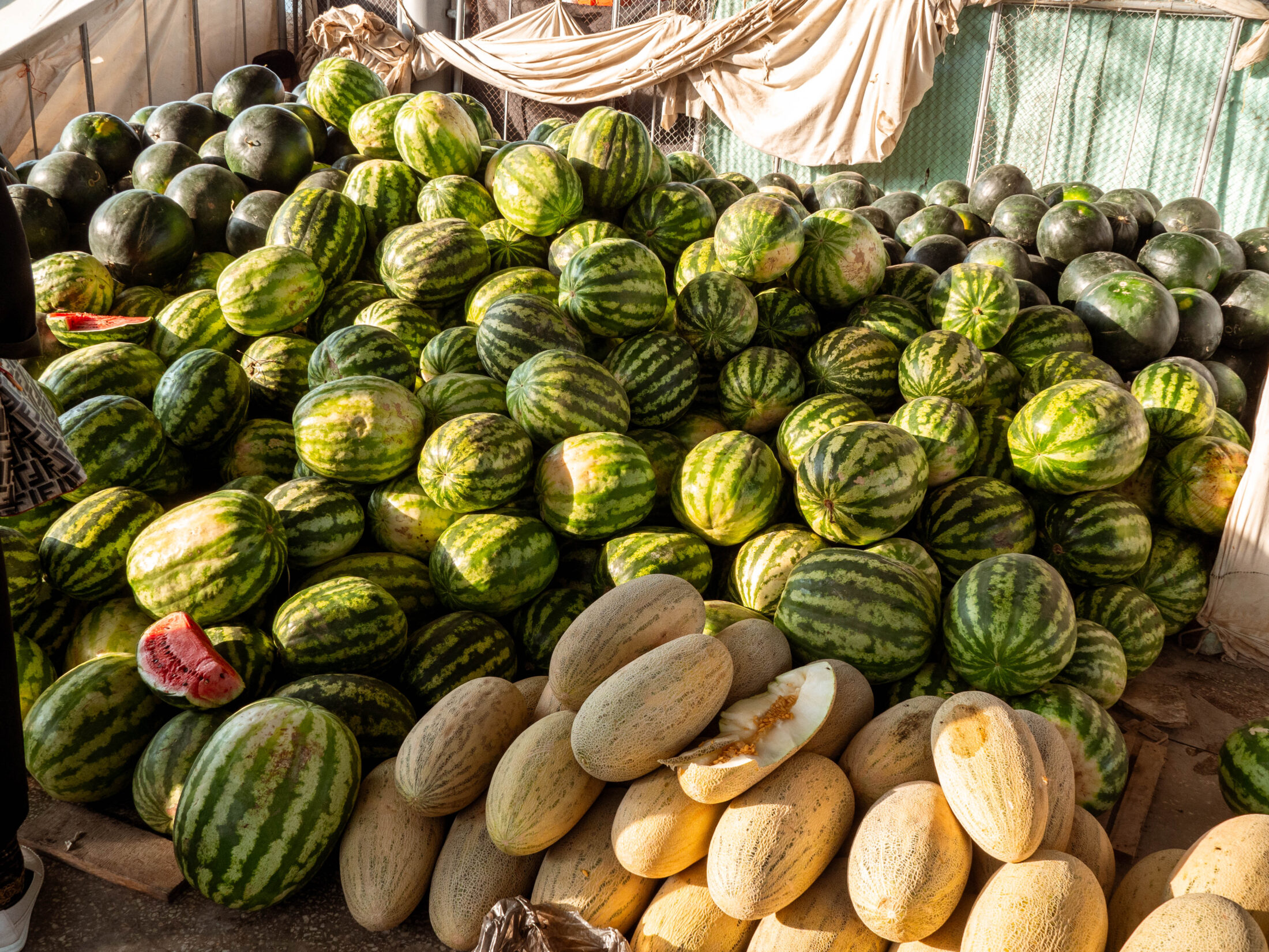 Top 7 Samarkand Sehenswürdigkeiten + Reisetipps: Unmengen an Melonen findest du im Herbst auf dem Siab Bazar
