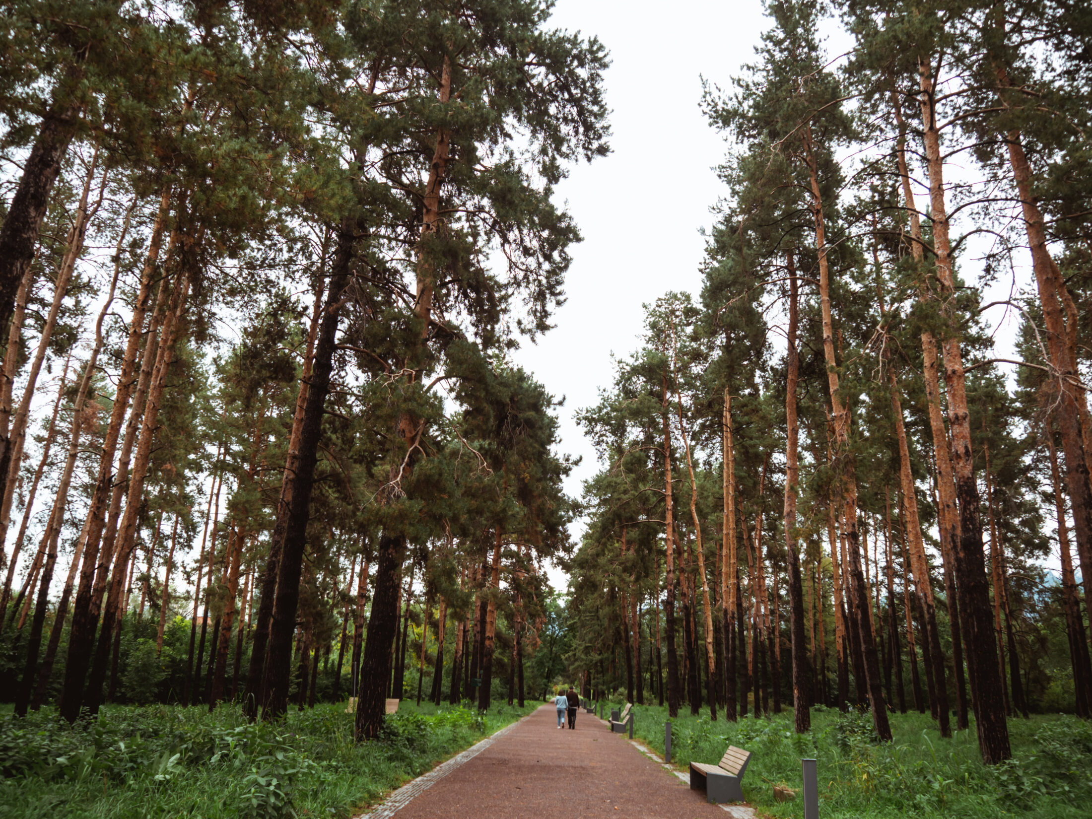 Ein Tag in Almaty mit den Top 10 Sehenswürdigkeiten + Reisetipps: Weg durch den riesigen botanischen Garten