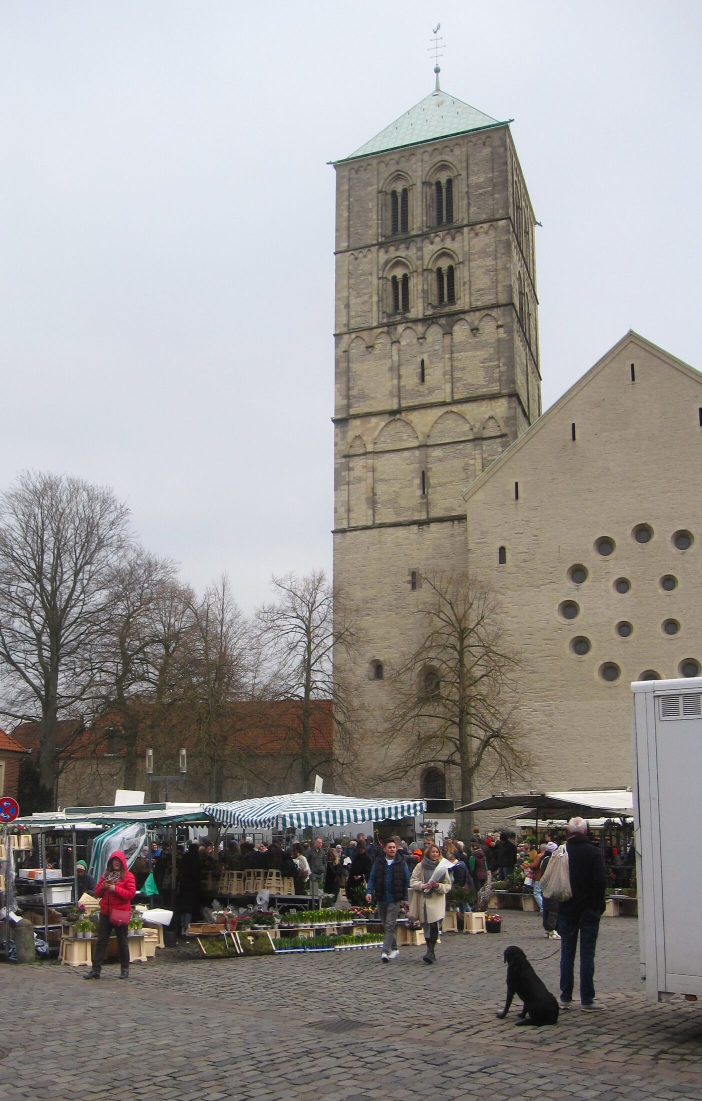 Wochenmarkt mit St.-Paulus-Dom