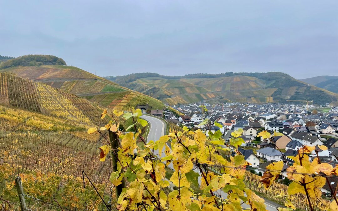 Rotweinwanderweg im Ahrtal: Genuss-Geheimtipp nicht nur im Herbst