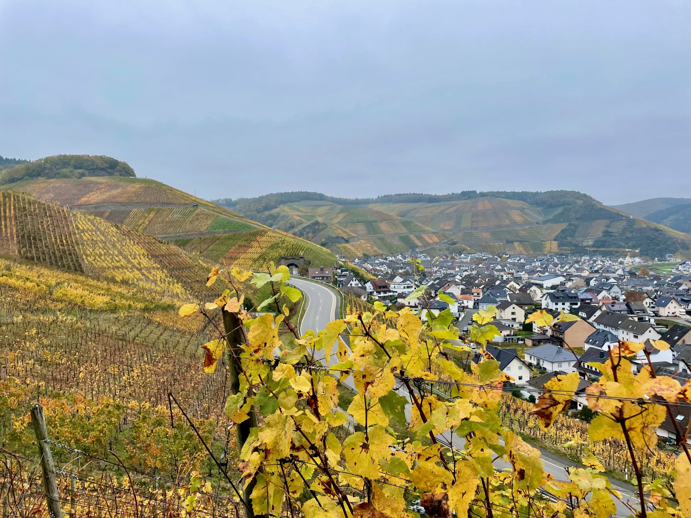 Rotweinwanderweg im Ahrtal: Genuss-Geheimtipp nicht nur im Herbst