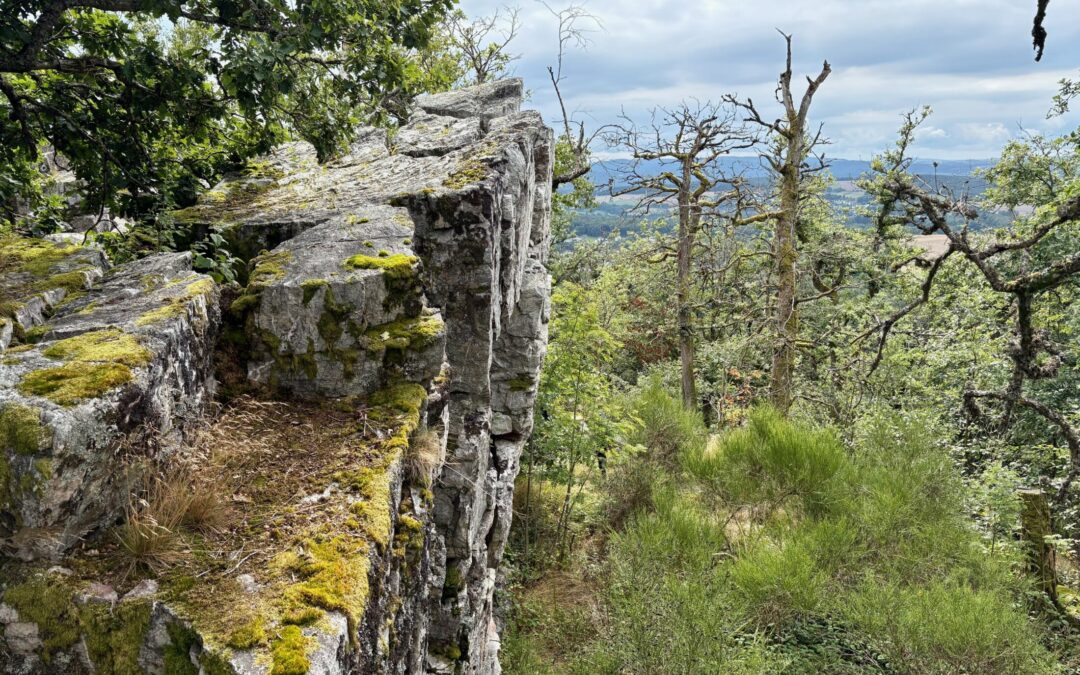 Wandern im Nationalpark Hunsrück-Hochwald: Lecker Pfädchen & Kirschweiler Festung