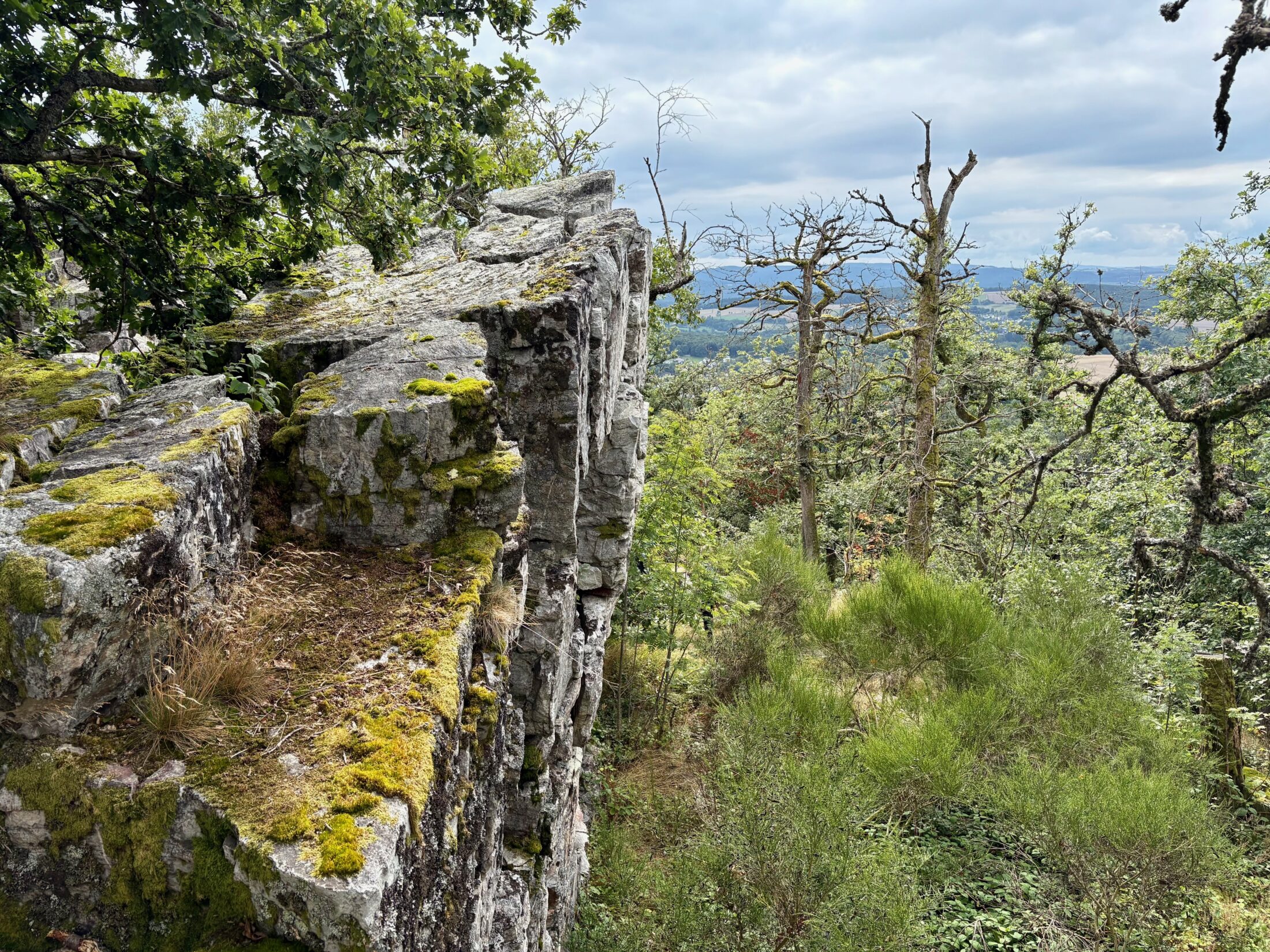 Wandern im Nationalpark Hunsrück-Hochwald: Lecker Pfädchen & Kirschweiler Festung