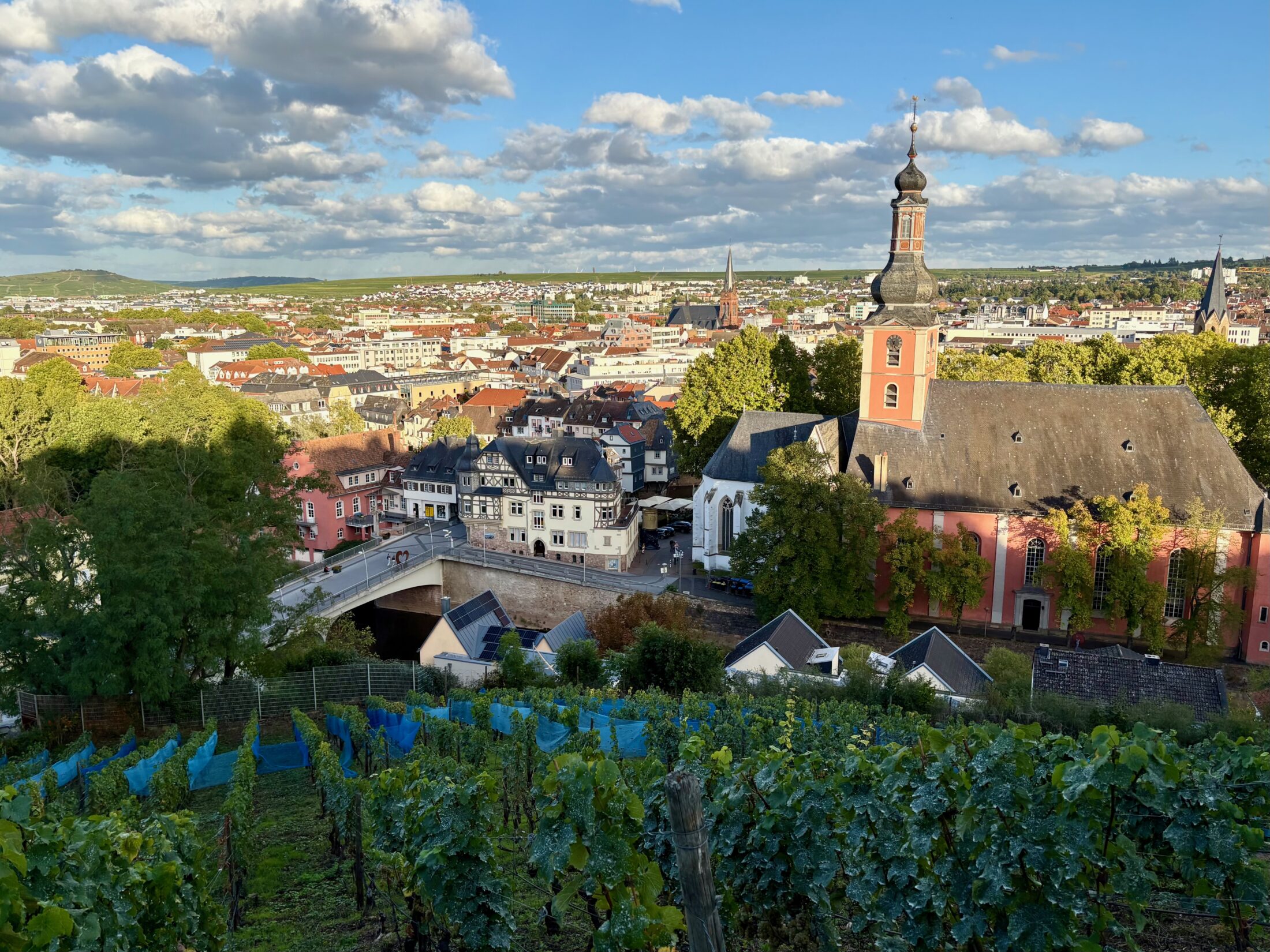 Ein Tag in Bad Kreuznach Panorama Kauzenburg Sonnenschein Altstadt Highlights