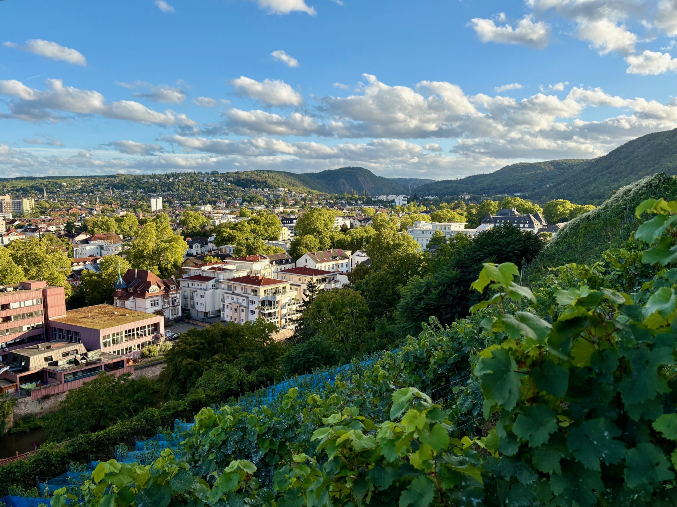 Kurpark Weinberge Therme Bad Kreuznach Sehenswürdigkeiten