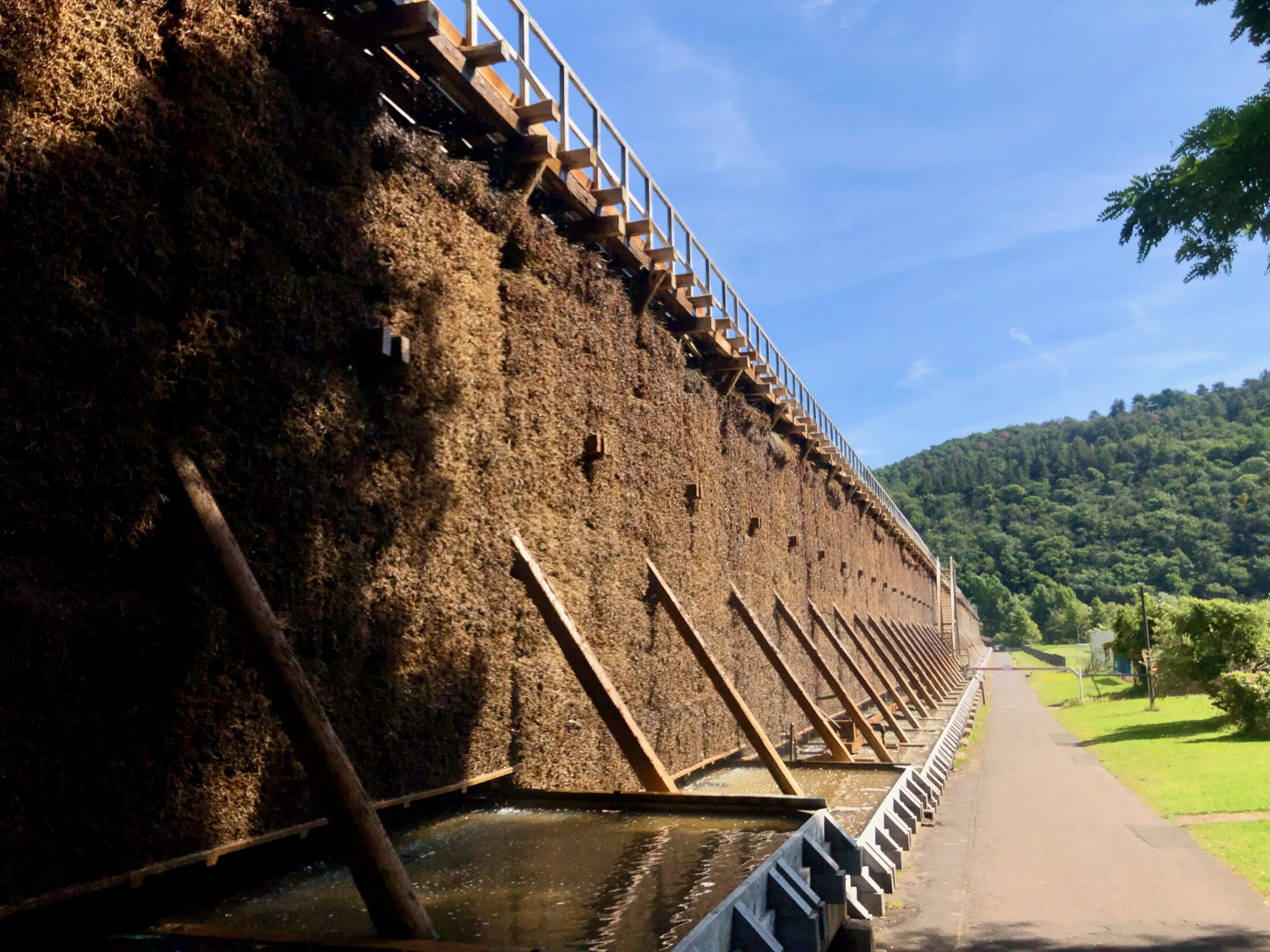 Salinen Kurpark Gradierwerk Bad Kreuznach